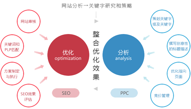 解读当代互联网生态：站群程序如何成为电商利器？